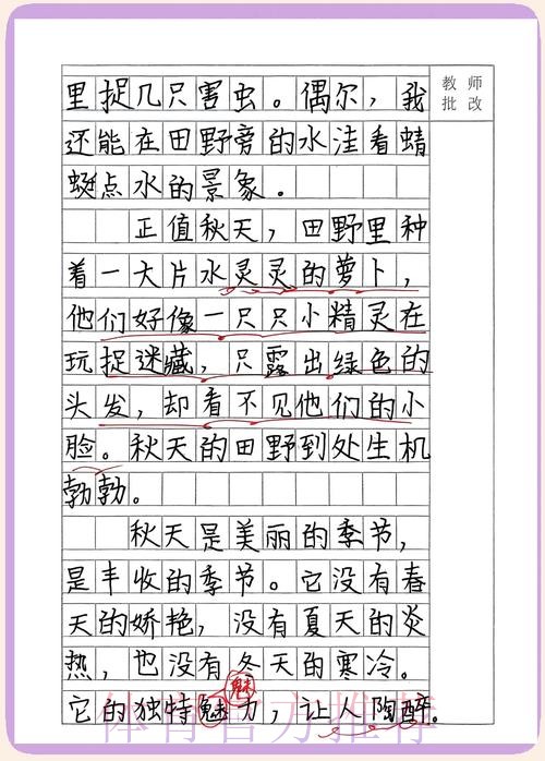 非常道！15岁超新星书写秋天的童话